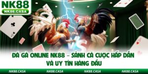 Đá Gà Online NK88 – Sảnh Cá Cược Hấp Dẫn Và Uy Tín Hàng Đầu