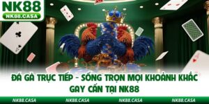 Đá Gà Trực Tiếp - Sống Trọn Mọi Khoảnh Khắc Gay Cấn Tại NK88