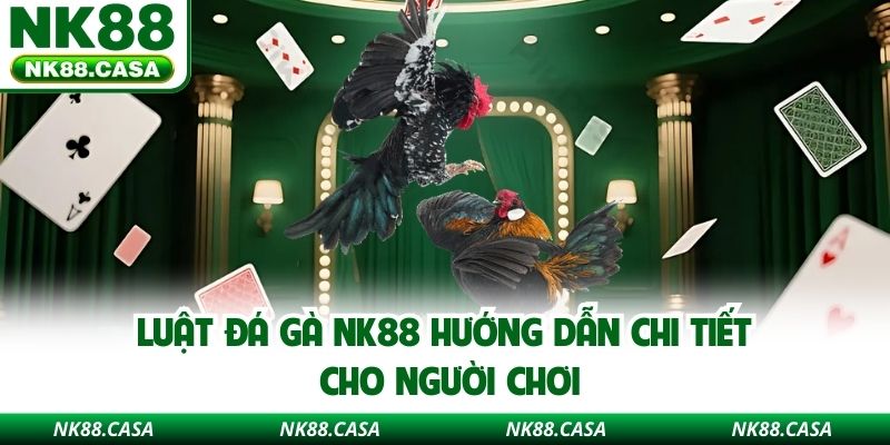 Luật Đá Gà Nk88 Hướng Dẫn Chi Tiết Cho Người Chơi