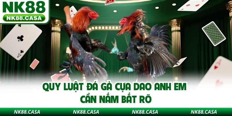 Quy luật đá gà cựa dao anh em cần nắm bắt rõ